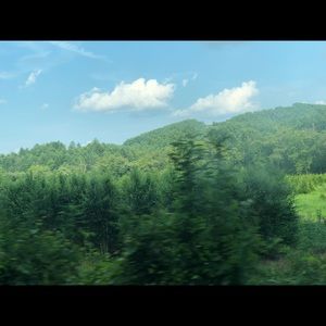 Meet your Posher, Grey